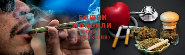 амф Осинники