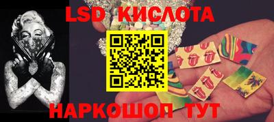 прущие грибы Абакан