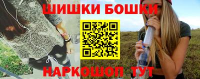 прущие грибы Абакан