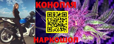 прущая мука Гатчина