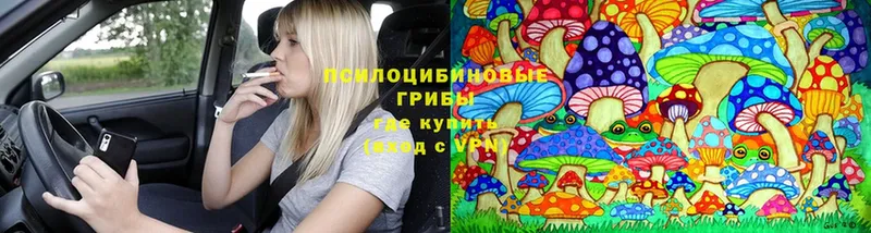 закладки  Алушта  Галлюциногенные грибы Psilocybe 