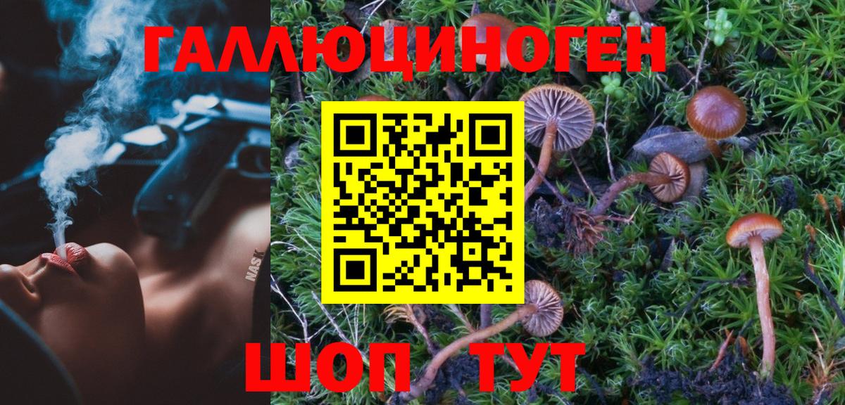 Псилоцибиновые грибы MAGIC MUSHROOMS  Алушта 