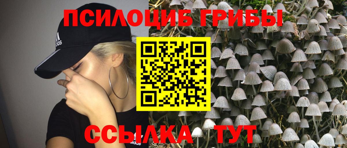 Псилоцибиновые грибы мухоморы Алушта