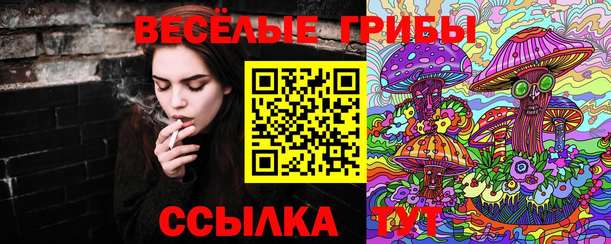 хочу наркоту  Псилоцибиновые грибы Magic Shrooms  Галлюциногенные грибы мицелий  Вход с VPN  Алушта 