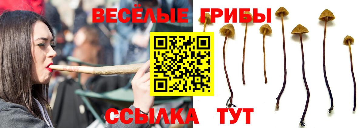 Галлюциногенные грибы прущие грибы  Вход с VPN  Алушта 